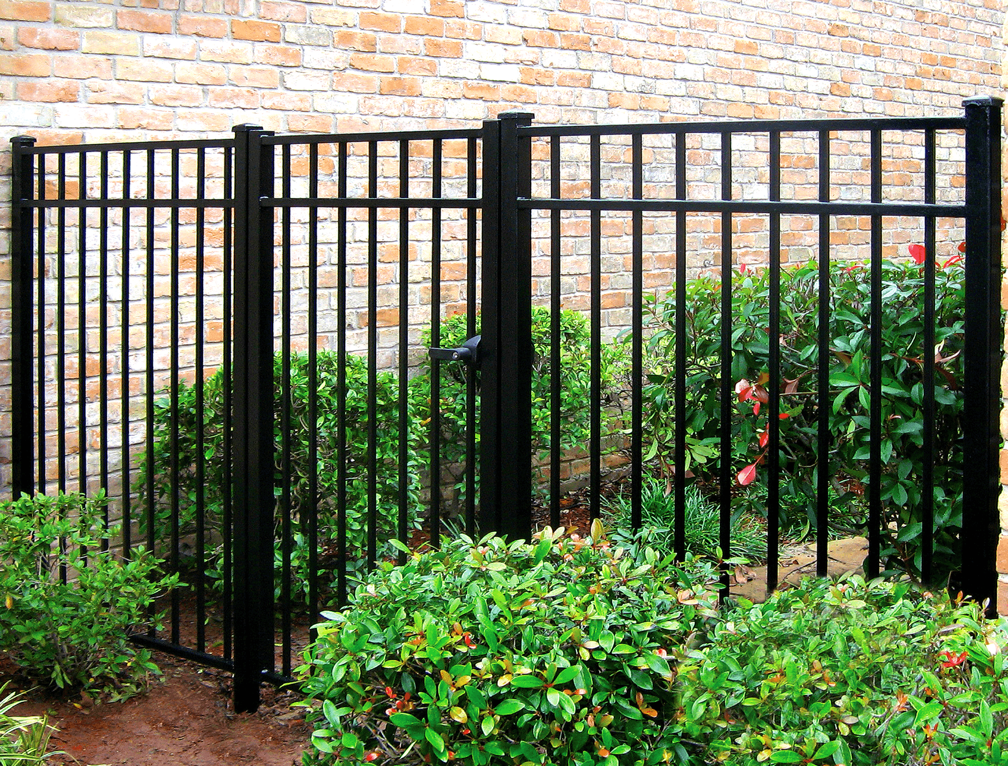 Ornamental Iron Fence