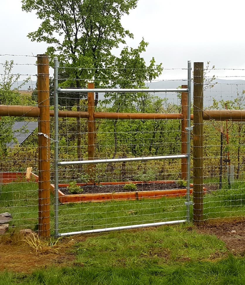 Galvanized Deer Fence Gate
