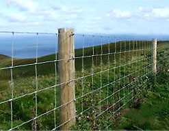 5 Rail Field Fence