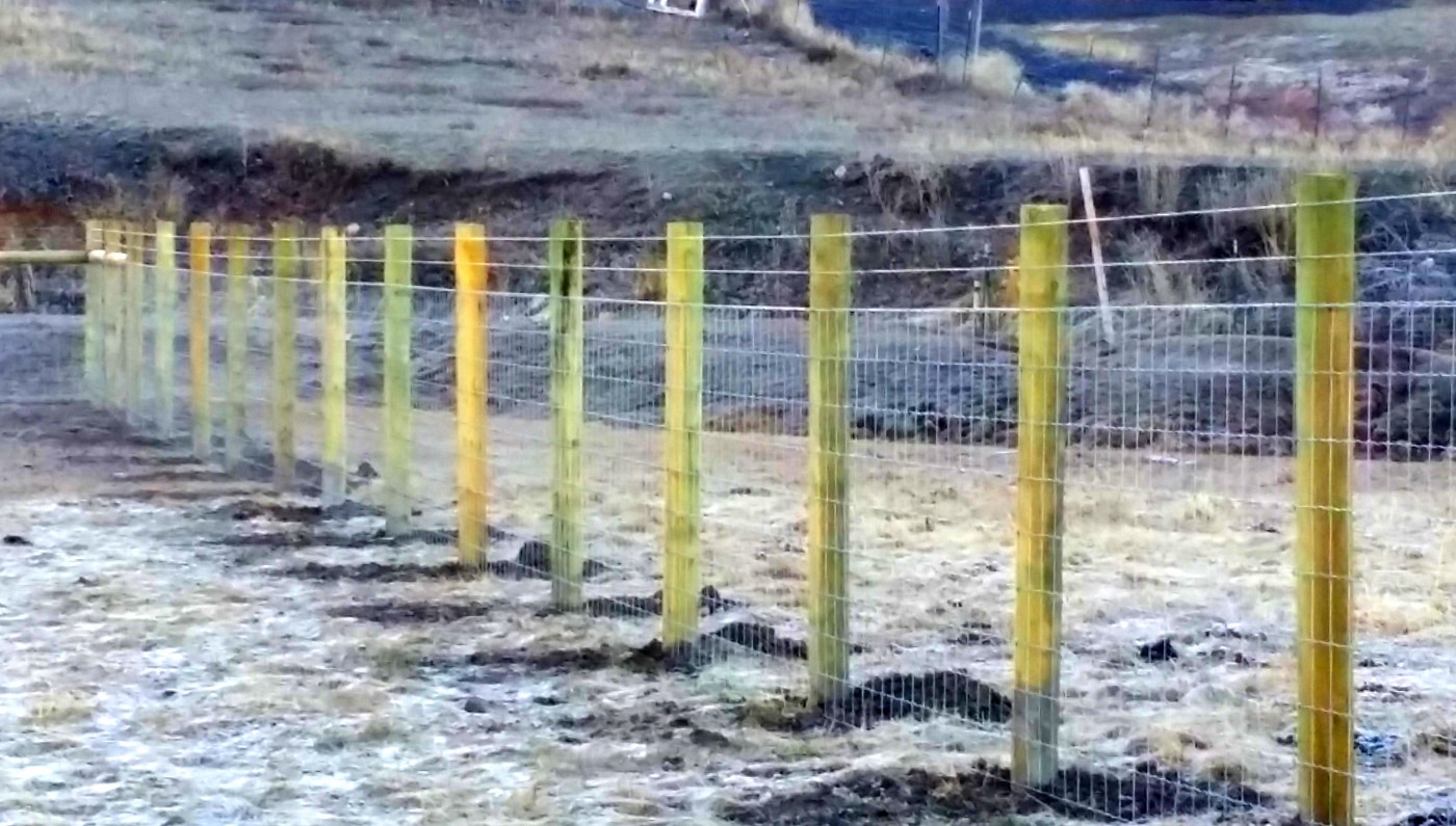 No-Climb Fence with Top Wire