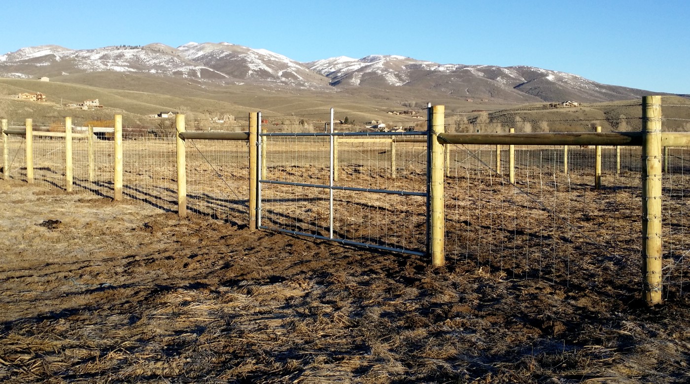 Buffalo and Bison Fence