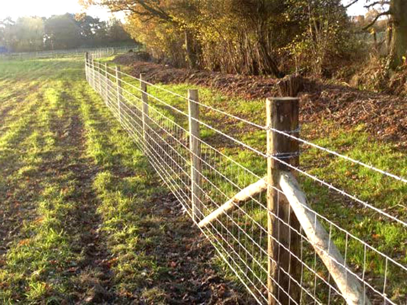 Combination Fence with No-Climb and Rails