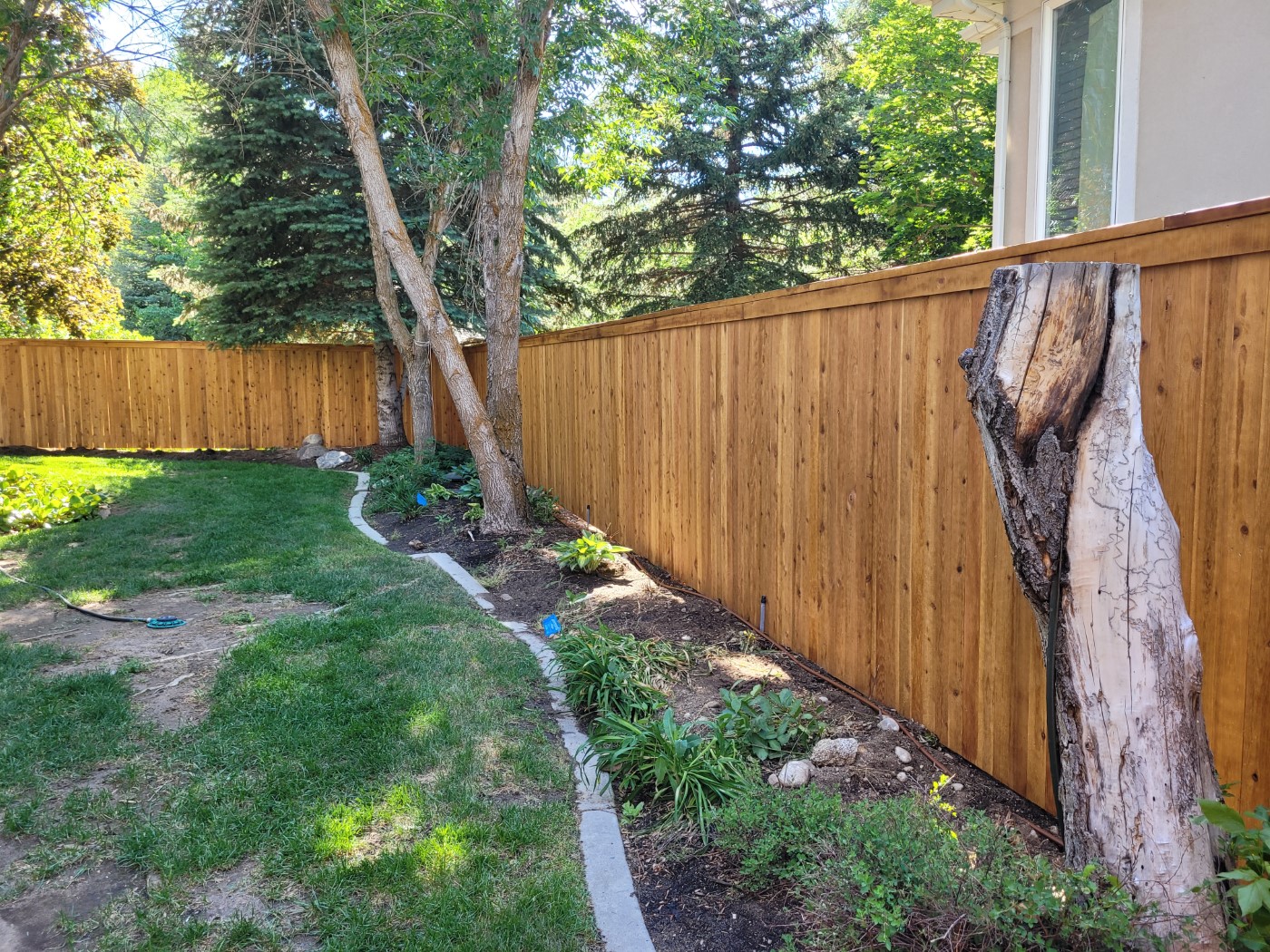 6-Foot Flat Cedar Fence