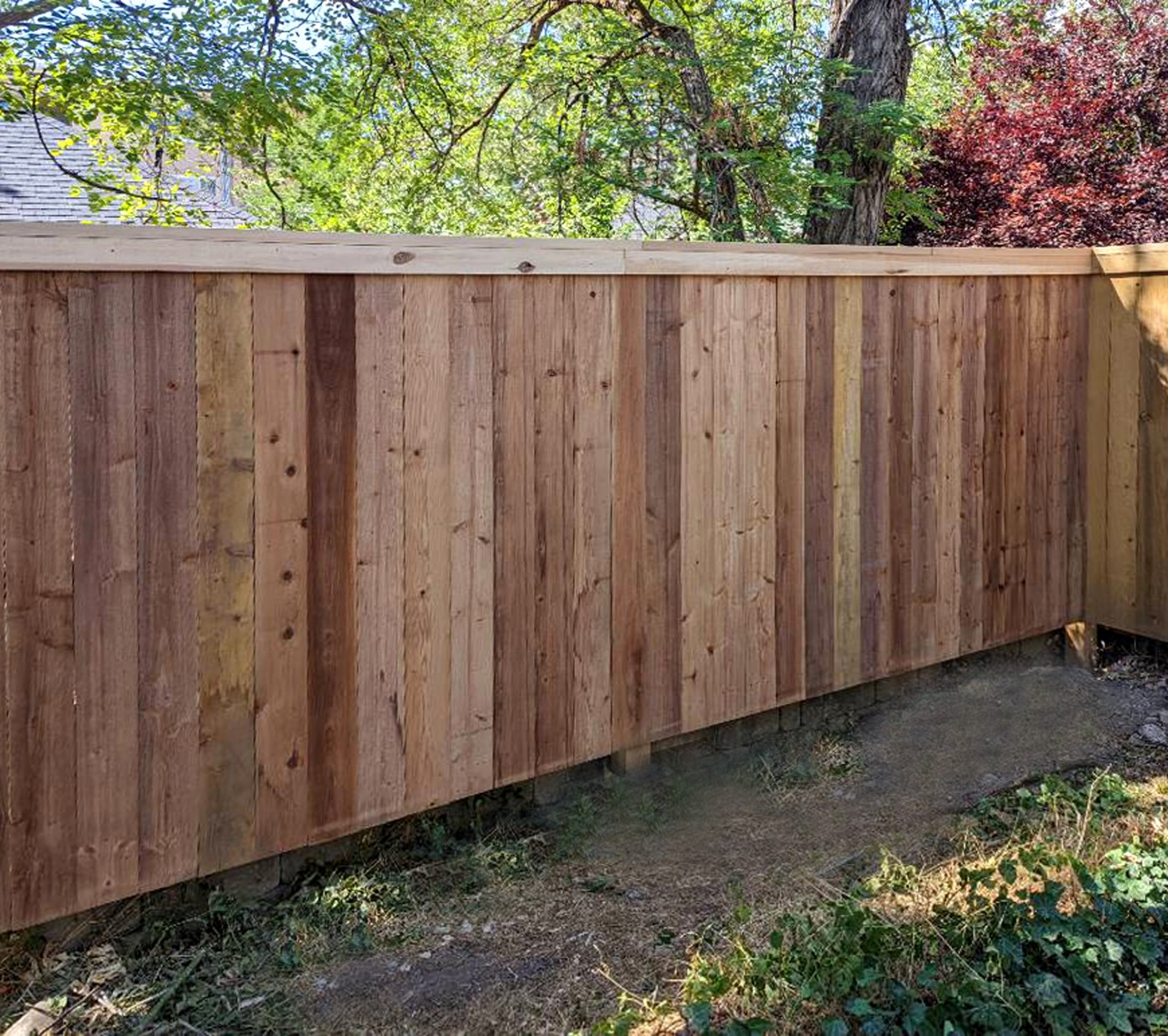 6-Foot Western Red Cedar Fence