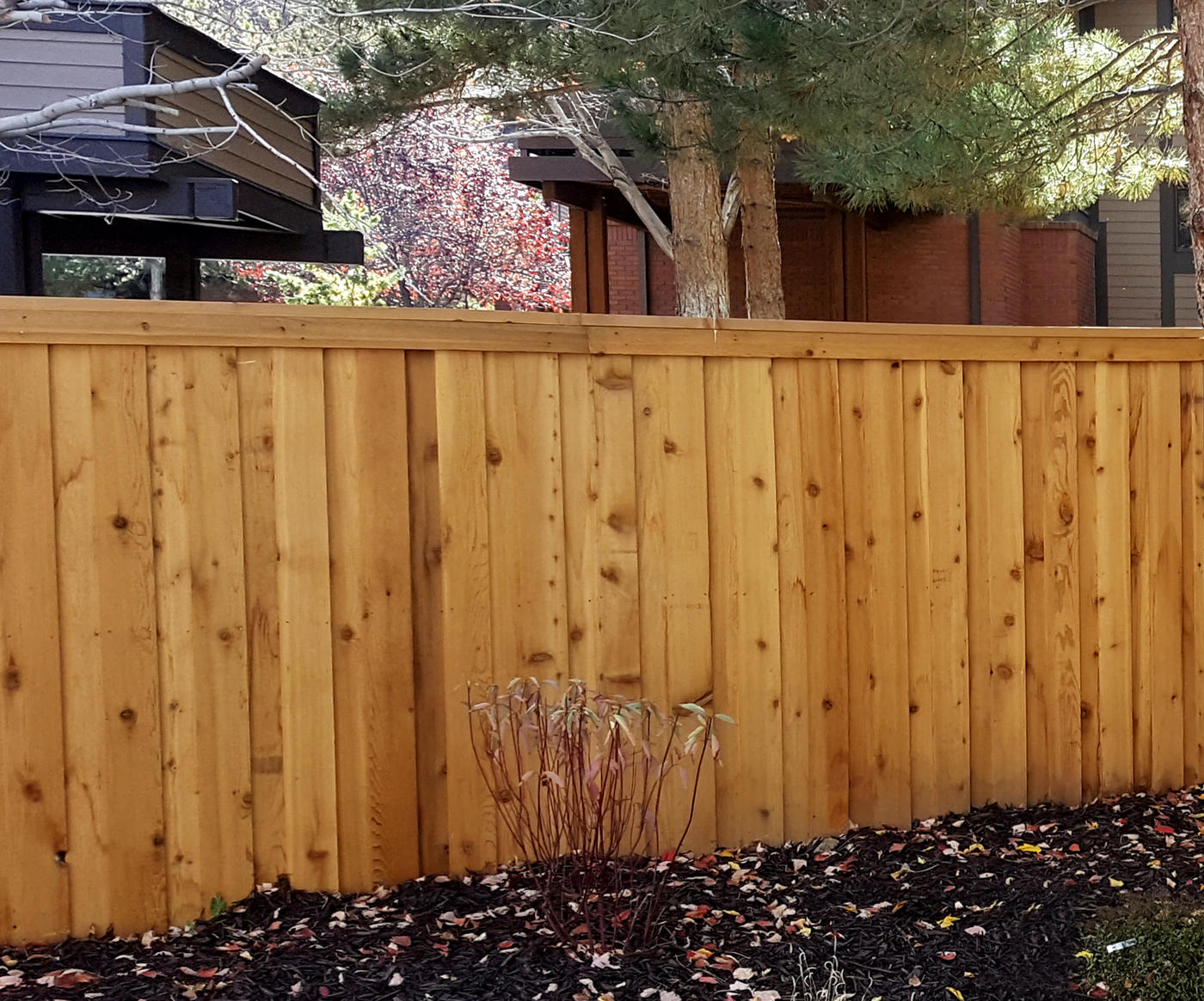 6-Foot Board-on-Board Cedar Fence