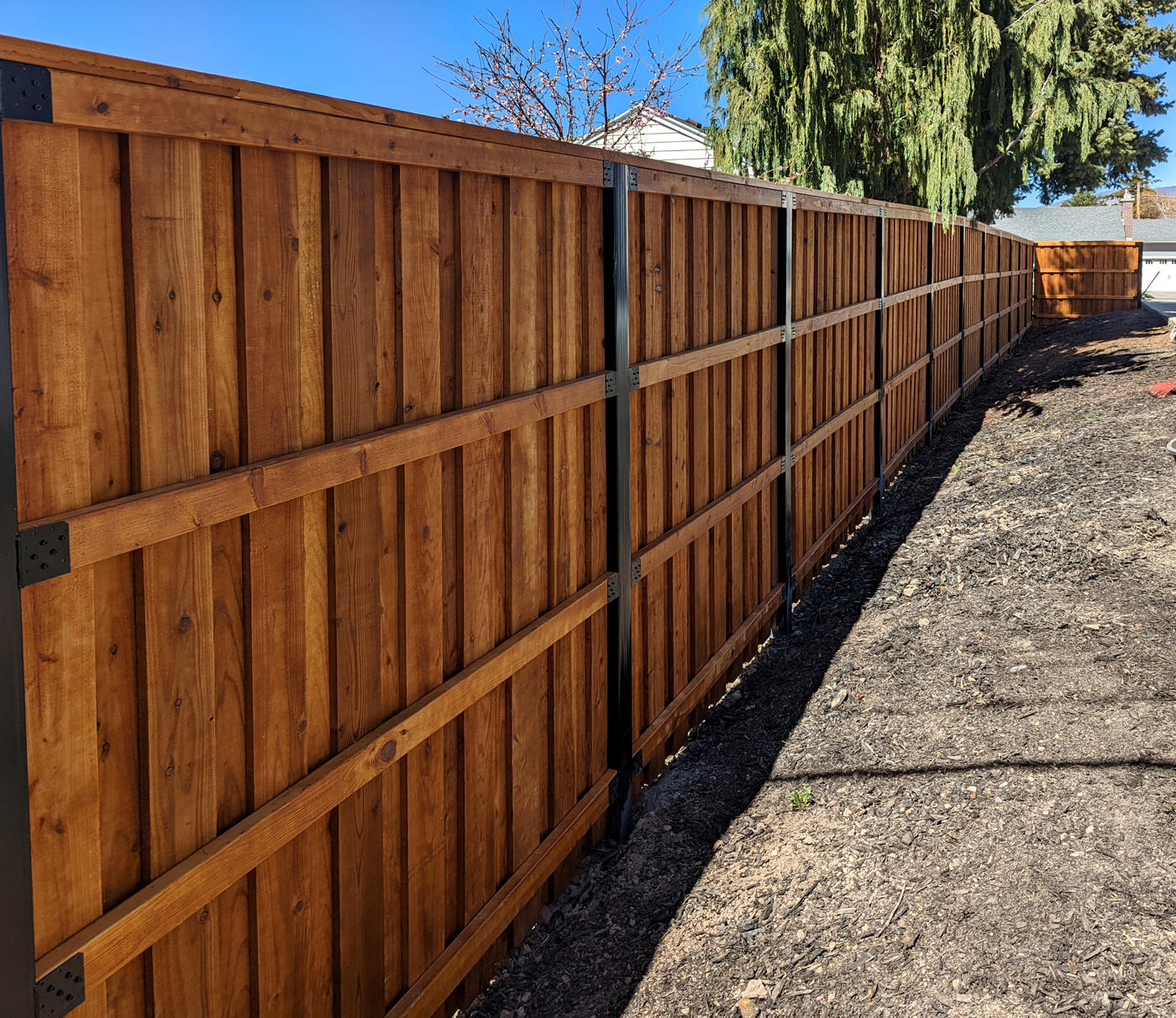 8-Foot Cedar Fence with Black Posts