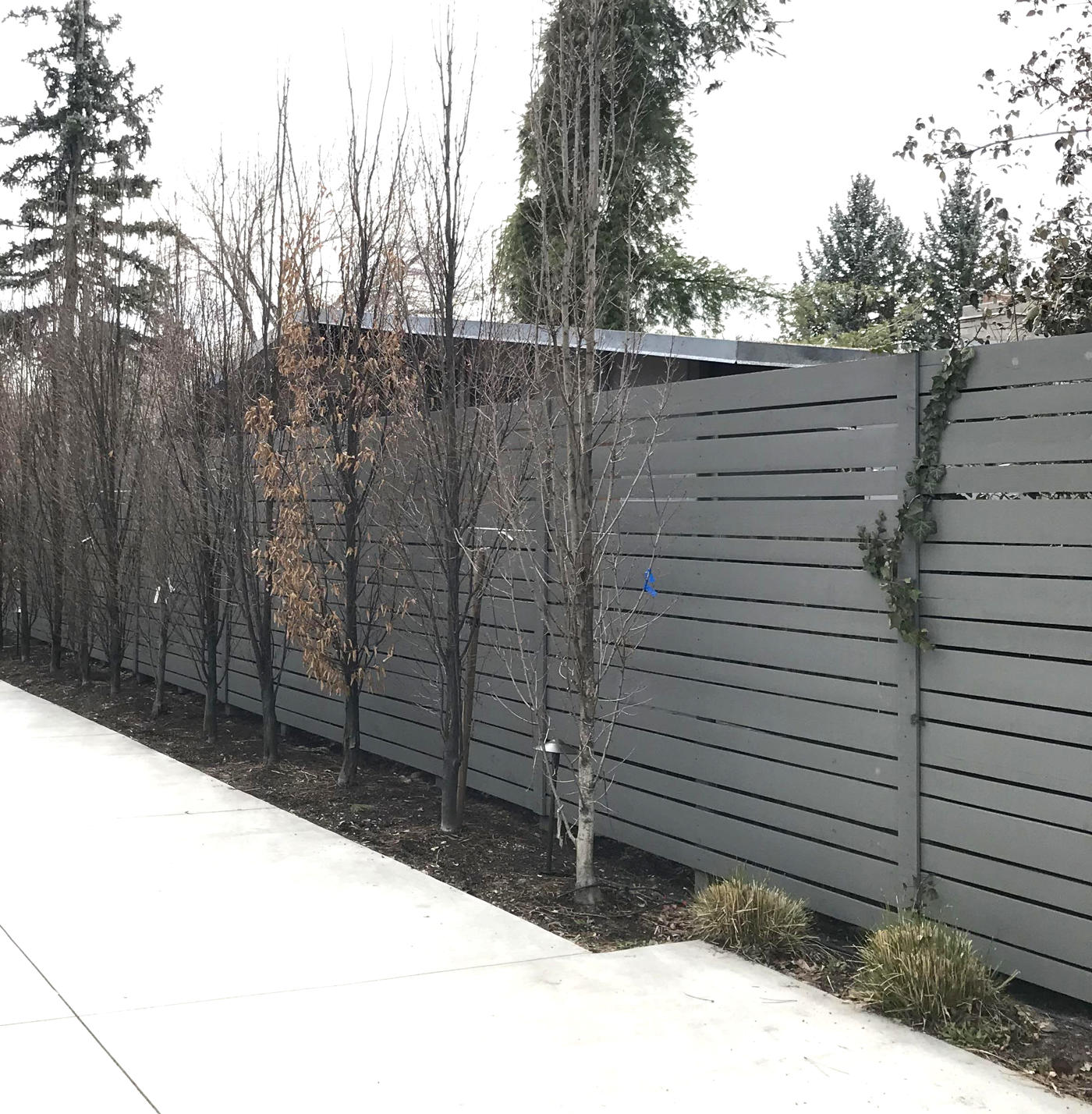 Horizontal Cedar Fence in Gray